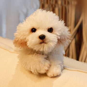 Cute Maltese Dog Stuffed Animal Plush Toy